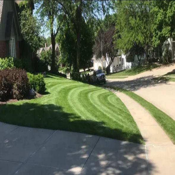 Lawn care professional working on a yard